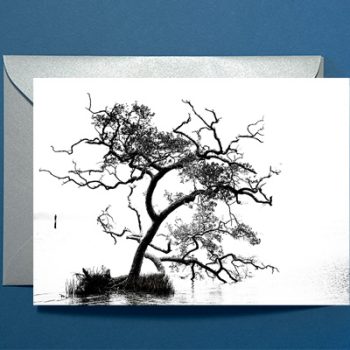 Island Tree